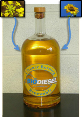 Processing Biodiesel