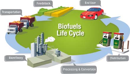 Life Cycle Analysis for Biofuels - Farm Energy