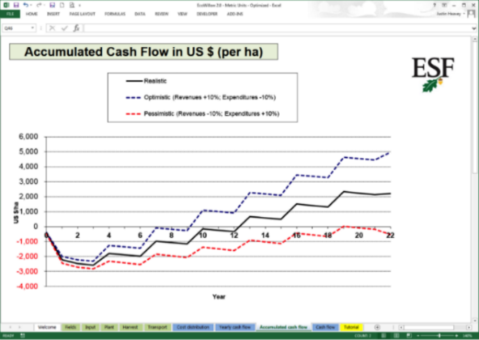 cash flow graphic