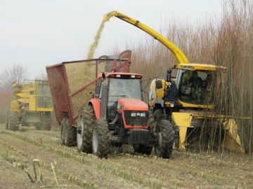 Figure 1. Harvesting willow biomass crops with a single-pass cut-and-chip harvesting system based on a New Holland forage harvester and specially designed cutting head in Upstate New York. 