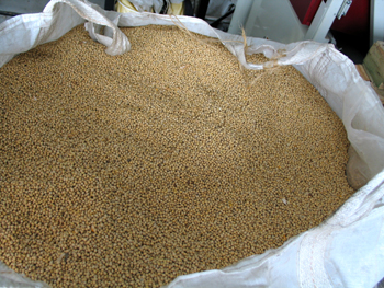 One ton tote of soybeans